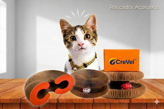 Rascador Acordeón